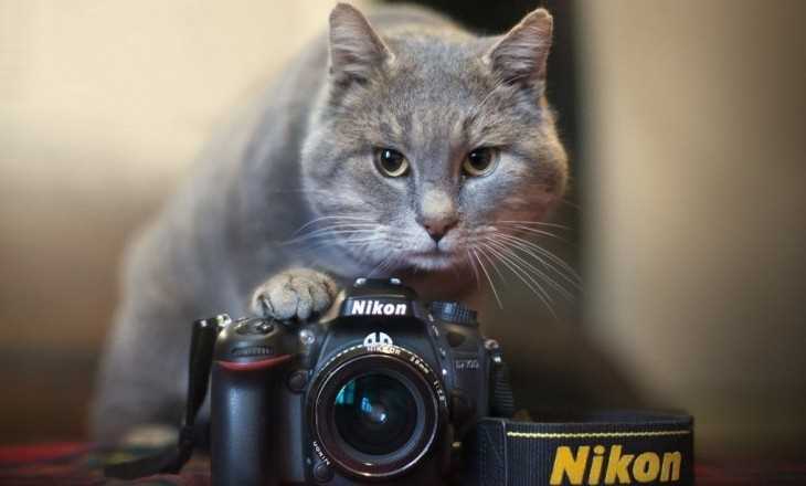 Как починить фотоаппарат Kodak M763, если не включается