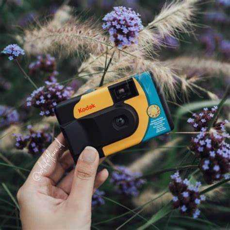 Как избежать ошибок при съемке с одноразовой камерой Kodak Daylight