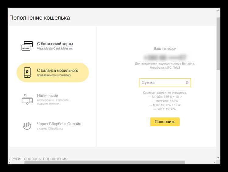 Пошаговая инструкция по вводу кода в Яндекс.Платежи