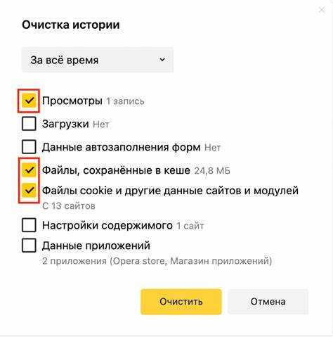 Как настроить доступ к данным луж в Яндекс Про