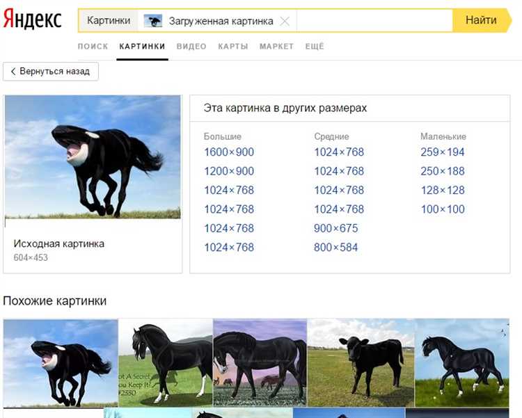 Как интерпретировать результаты поиска по изображению