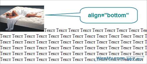 Как сделать текст справа от картинки в css
