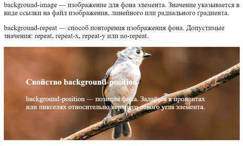 Как добавить background image в css