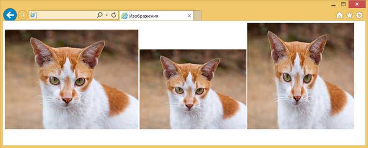 Как сделать картинку по размеру блока в css