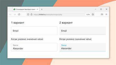 Поддержка изменения цвета placeholder в старых версиях браузеров