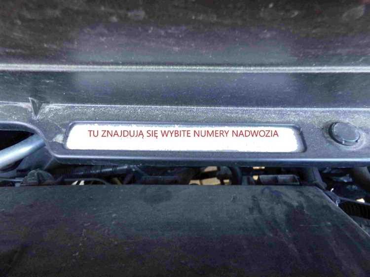 Проверка VIN Suzuki Vitara LY через официальный сайт ГИБДД