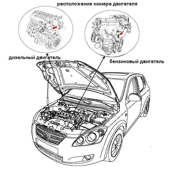 Как правильно прочитать номер двигателя на Kia Rio 1