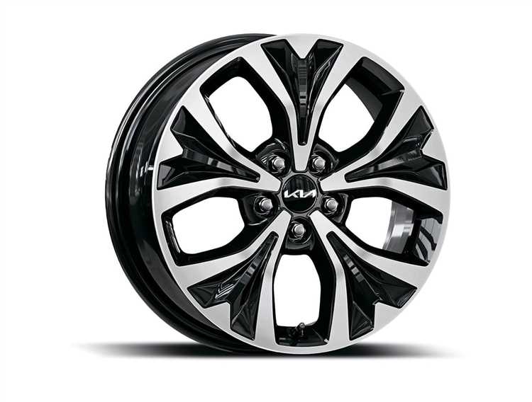 Какой фирмы купить литые диски kia carnival