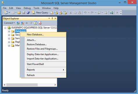 Что такое инстанс ms sql server