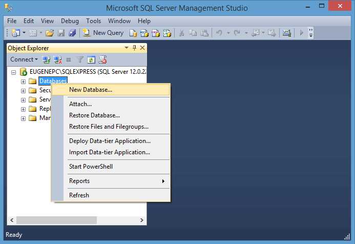 Как получить доступ к коду базы данных через SQL Server Management Studio