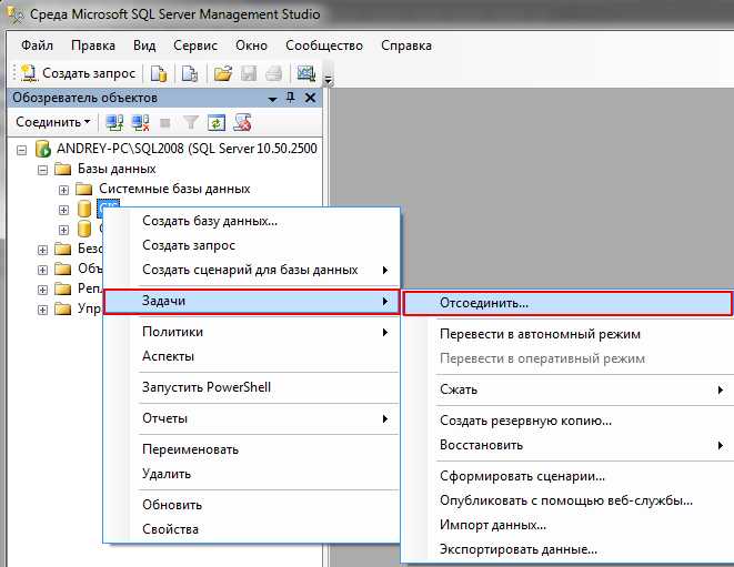Настройка подключения к базе данных SQL в проекте Windows Forms