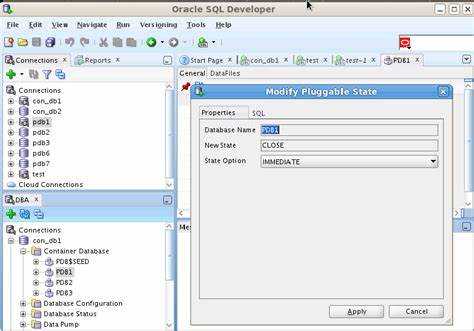 Как пользоваться oracle sql developer
