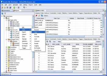 Как русифицировать меню sql developer oracle