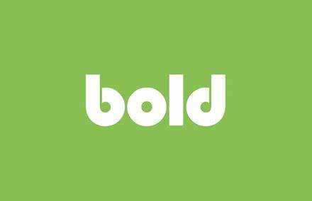 Отличия между жирным шрифтом и bold-стилем в CSS