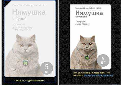 Как контролировать позицию фона с помощью background-position