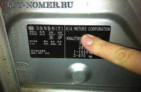 Что делать, если найден только один VIN код на автомобиле Kia