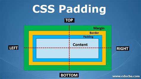 За что отвечает padding в css