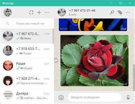 Как синхронизировать ватсап на компьютере и телефоне