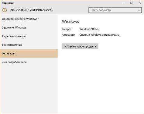 Предотвращение повторной установки KMSAuto