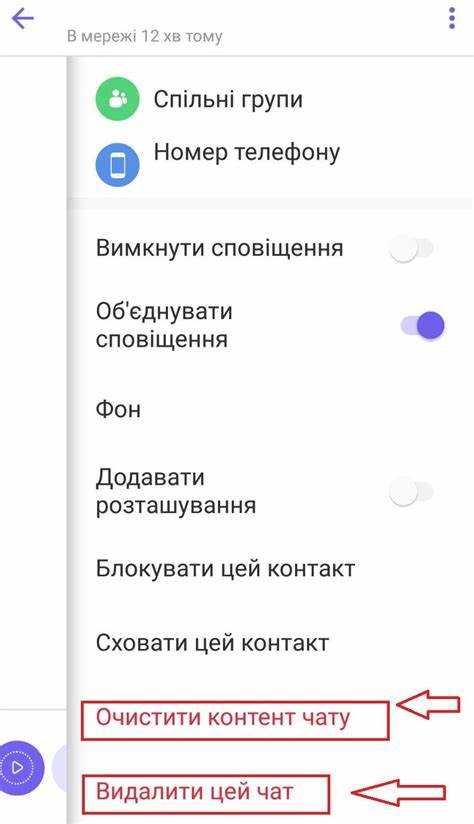 Как найти настройки Viber для очистки кэша