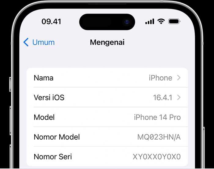 Как безопасно изменить IMEI без повреждения системы iOS