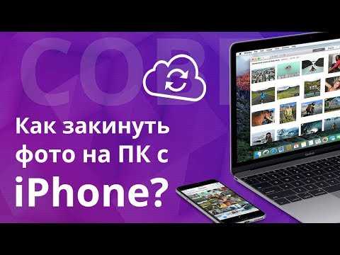Как организовать хранение фотографий на компьютере после переноса