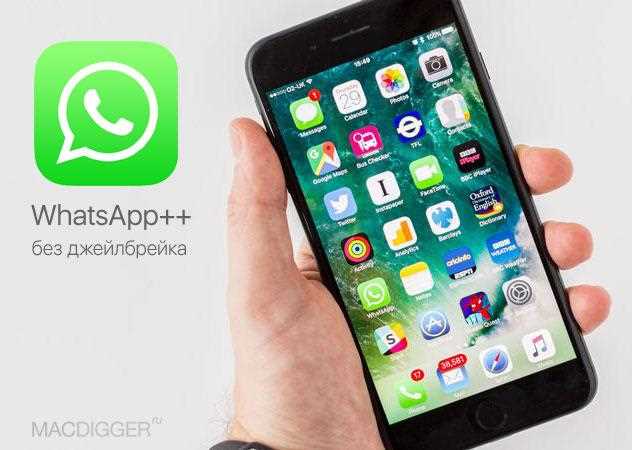 Какие ограничения существуют при использовании двух аккаунтов WhatsApp на iPhone