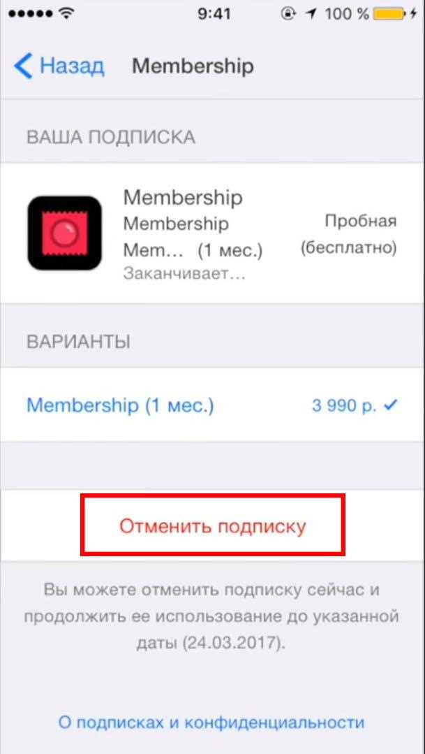 Как найти подписку на Apple Music в настройках айфона