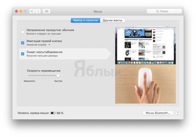 Как почистить колесико прокрутки мышки Apple