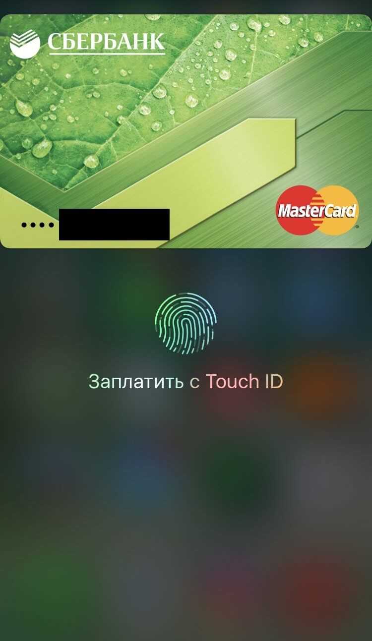 Как проверить историю платежей через Apple Pay с картой Тинькофф