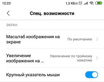 Использование сторонних приложений для изменения масштаба