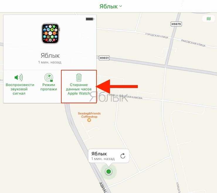 Как работает разблокировка iPhone с Apple Watch