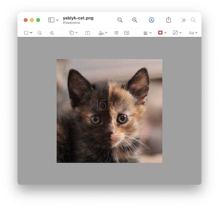 Как настроить и сохранить обрезанное видео в нужном формате на Mac