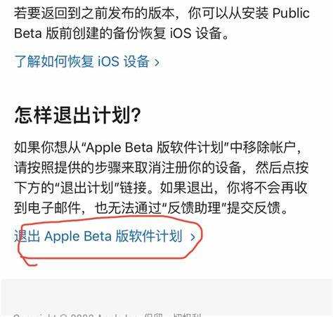 Ожидание следующего публичного обновления iOS