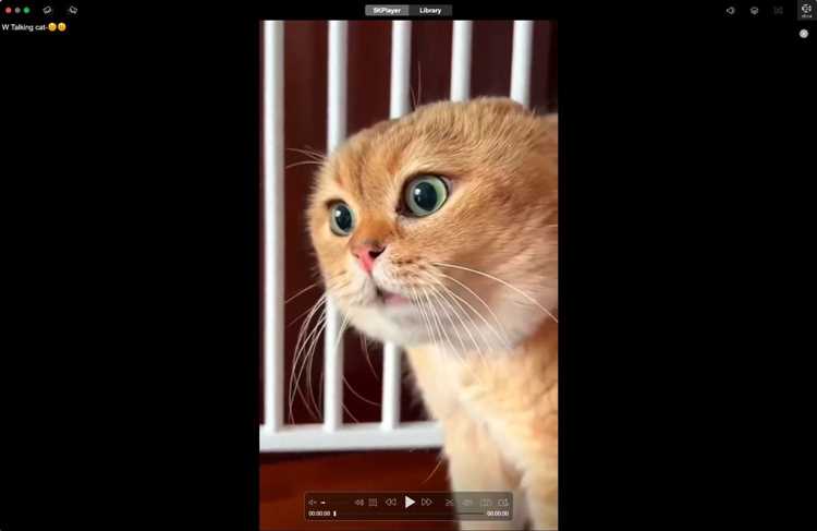 Установка сторонних плагинов для просмотра WMV на Mac