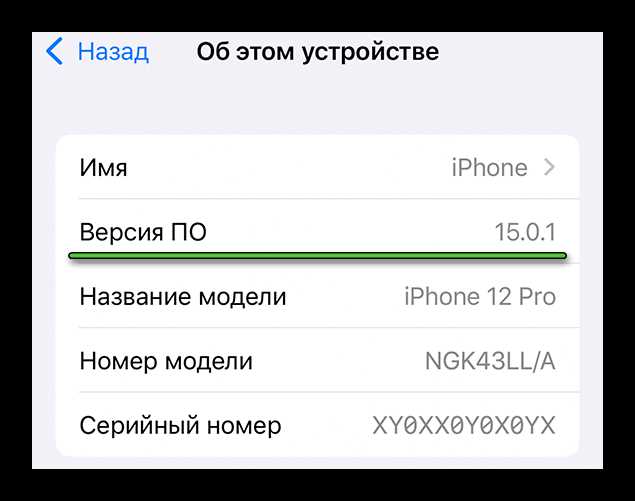 Подготовка перед сбросом данных WhatsApp