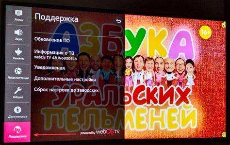 Обновление программного обеспечения для устранения форк плеера