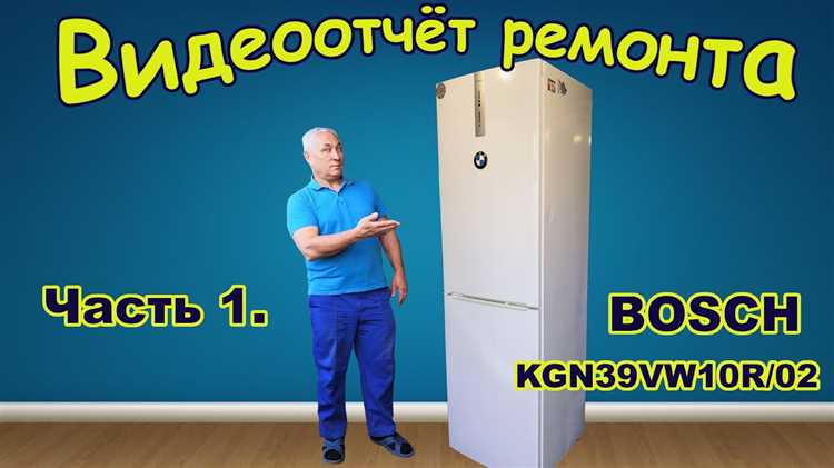 Как правильно размораживать и очищать холодильник