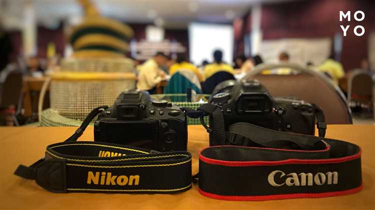 Canon или Nikon: что выбрать для фото и видео?