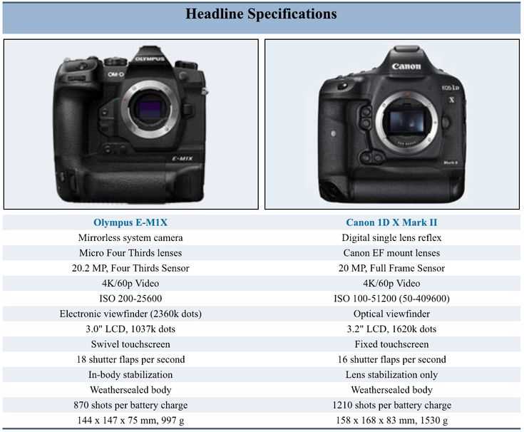 Как стабильность изображения помогает в видеосъемке: Canon vs Nikon
