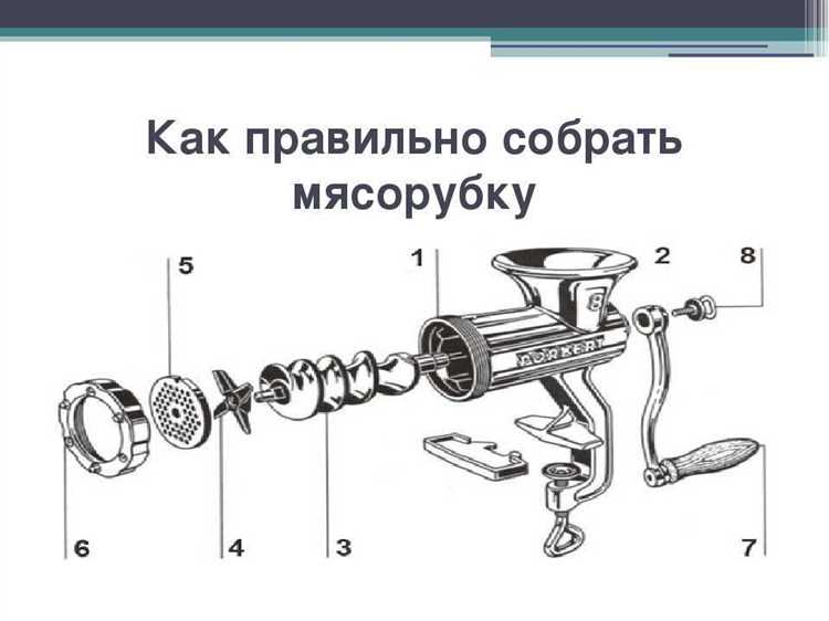 Как проверить правильность сборки и подготовить мясорубку к использованию