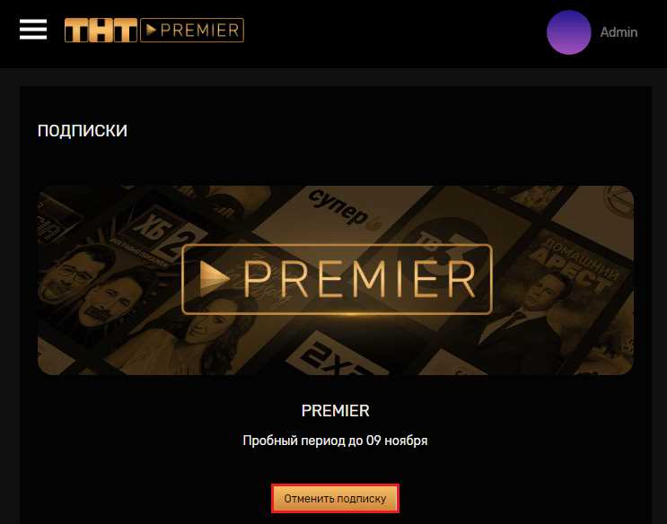 Шаг 4: Настройка качества видео и аудио в приложении ТНТ Премьер