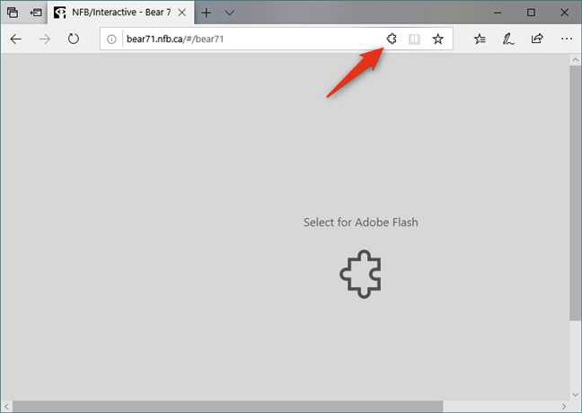 Проверка версии Firefox для совместимости с Flash Player