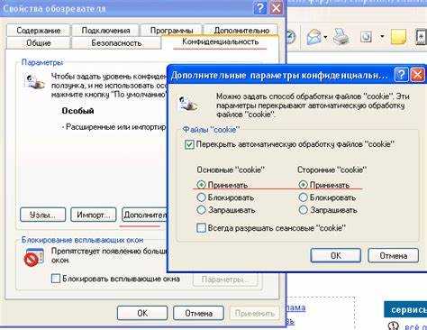 Включение cookie explorer в Google Chrome
