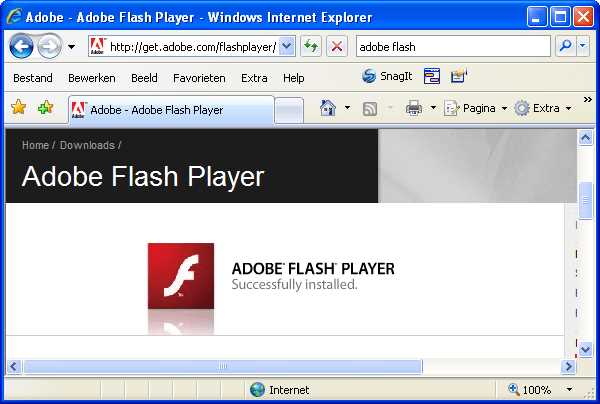 Проверка версии Internet Explorer для включения Flash Player