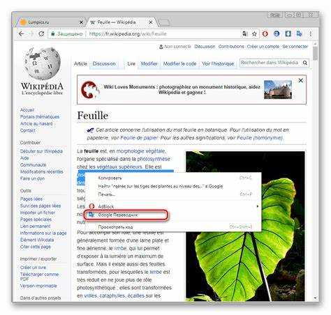 Как включить переводчик в google chrome на андроид