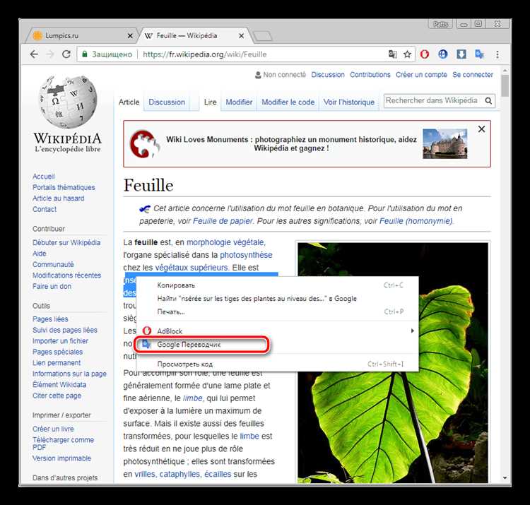 Как отключить автоматический перевод в Google Chrome